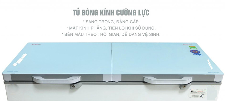 Tủ đông Sanaky 305 lít VH4099A2KD giá rẻ