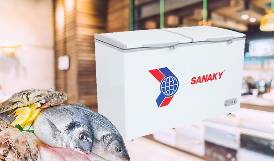 Tủ đông Sanaky 305 lít VH-405A2