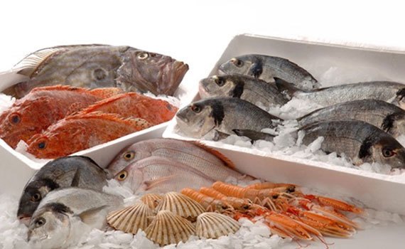 TỦ ĐÔNG SANAKY VH-5699W1 365 LÍT