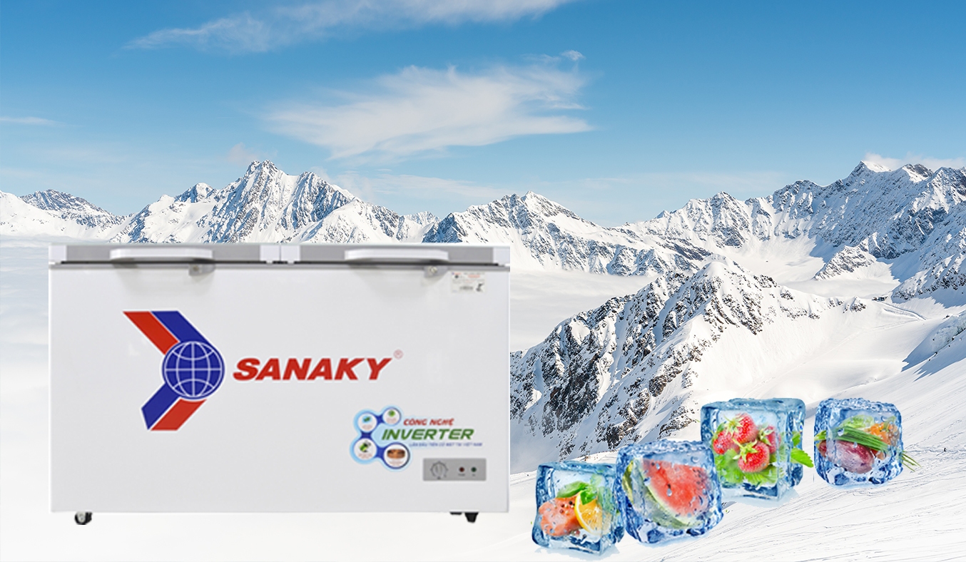 Tủ đông Sanaky Inverter 270 lít VH-3699A4K