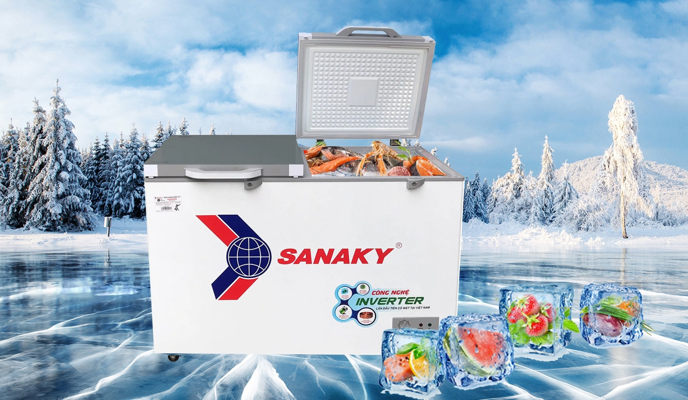 Tủ đông Sanaky Inverter 270 lít VH-3699A4K
