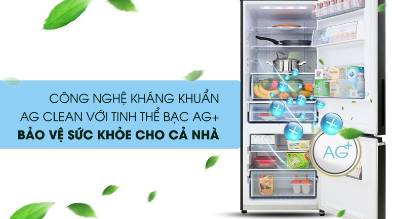 Tủ lạnh Panasonic Inverter 290 lít NR-BV320GKVN 2 cánh Đen