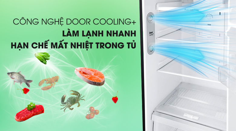 Tủ lạnh LG Inverter 315 lít GN-D315BL