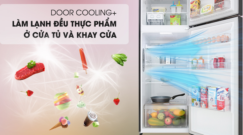 Tủ lạnh LG Inverter 315 lít GN-M315BL