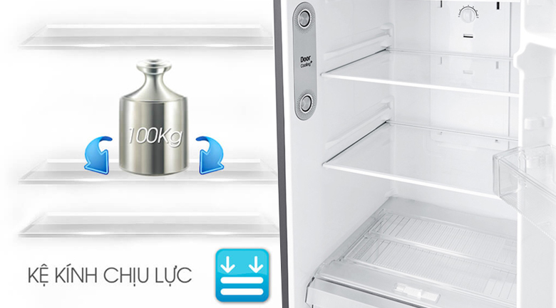 Tủ lạnh LG Inverter 315 lít GN-M315BL