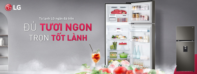 Tủ Lạnh 2 cánh LG Inverter 374 lít GN-D372BL thiết kế sang trọng