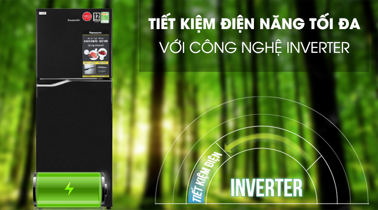 Tủ Lạnh Panasonic Inverter 188 Lít NR-BA229PKVN 2 cánh