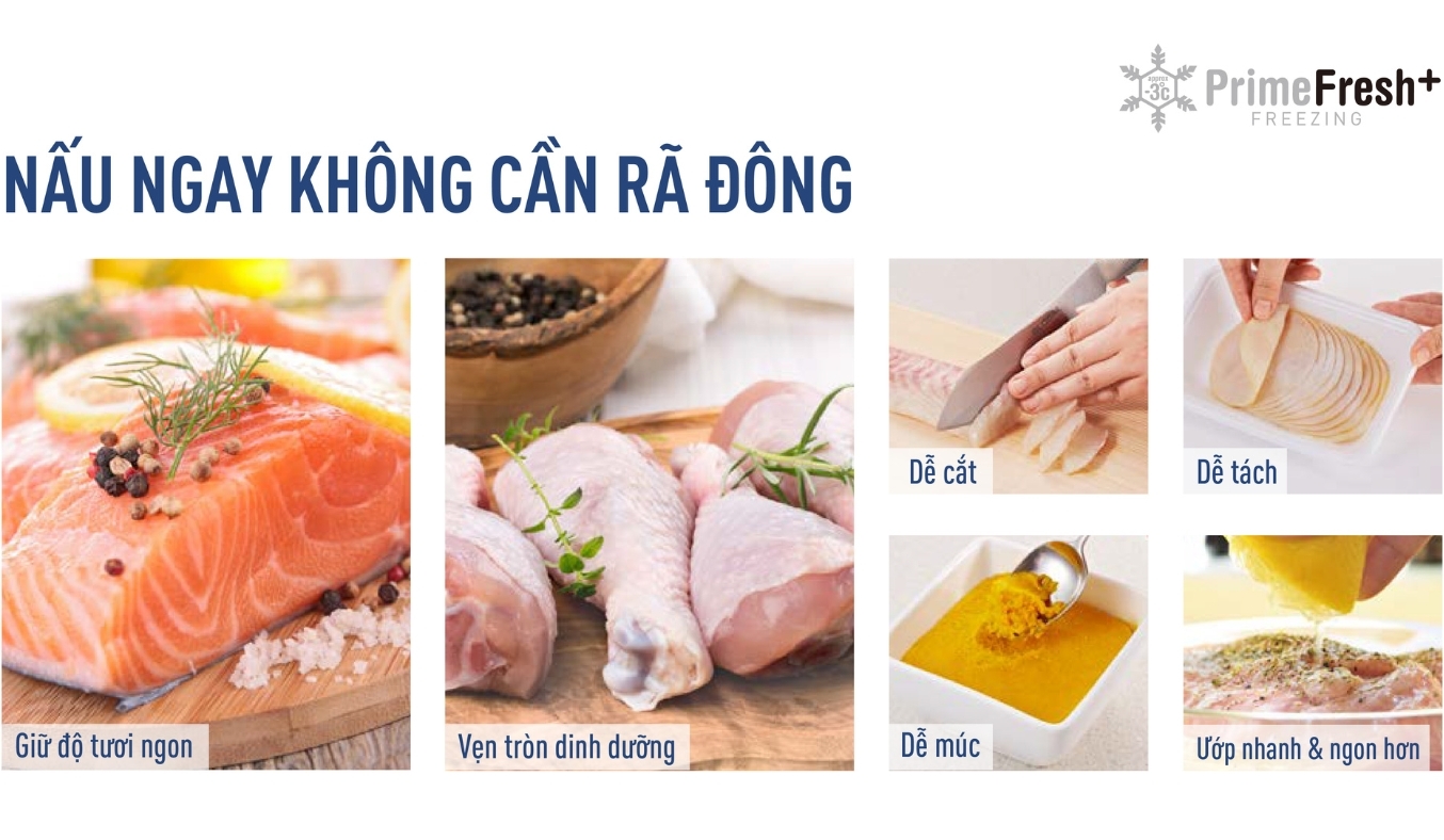 Tủ lạnh Panasonic 2 cánh inverter 255 lít NR-BV281BGMV 2023