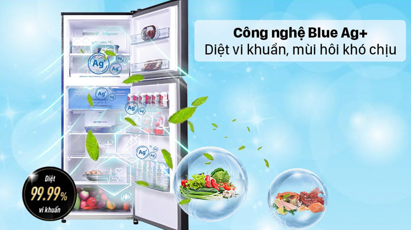 Tủ lạnh Panasonic NR-TL381VGMV 366 lít Inverter