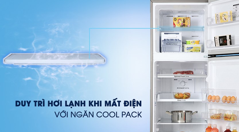 Tủ lạnh Samsung 256 lít RT25M4032BU/SV Inverter