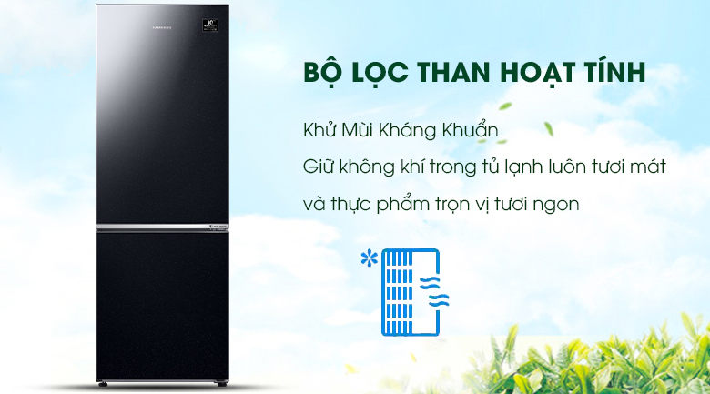 Tủ lạnh Samsung Inverter 310 lít RB30N4010BU/SV 2 cánh