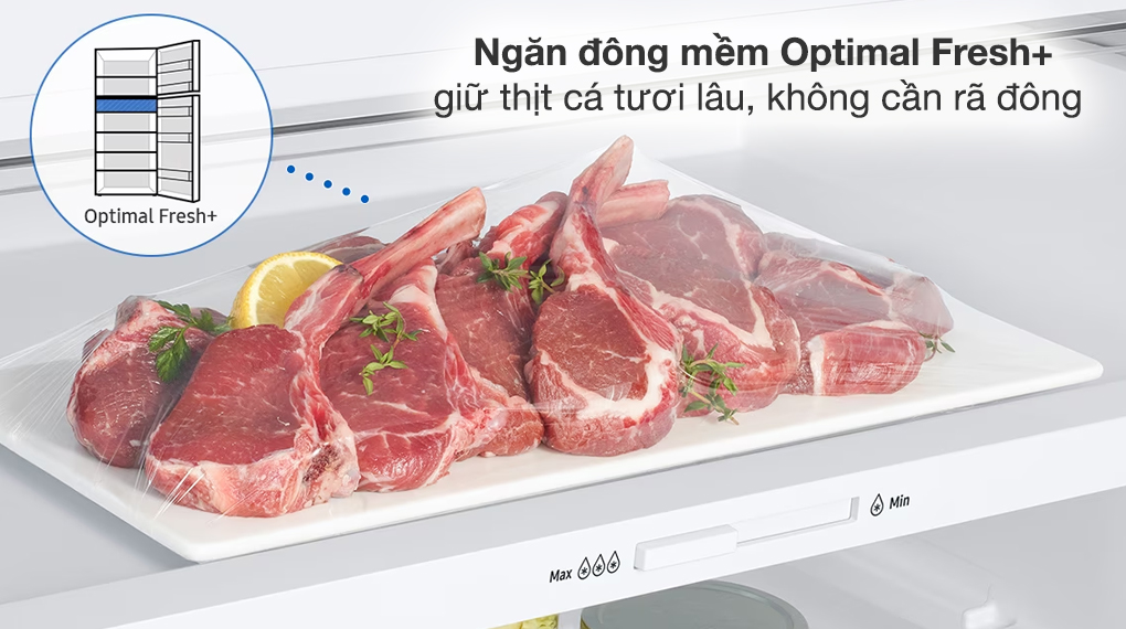 Tủ lạnh 2 cánh Samsung inverter 382 lít RT38CG6584B1 2023