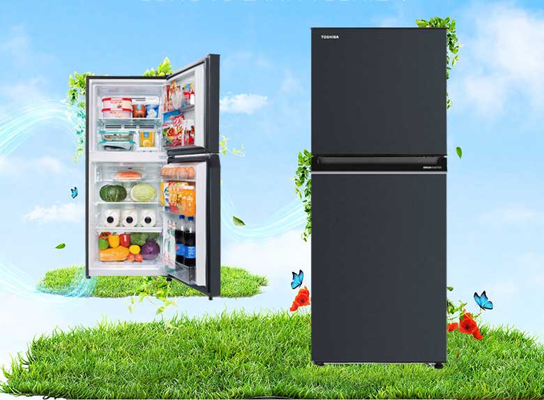 Tủ lạnh 2 cánh Toshiba inverter 194 lít GR-RT252WE-PMV(52) 2023