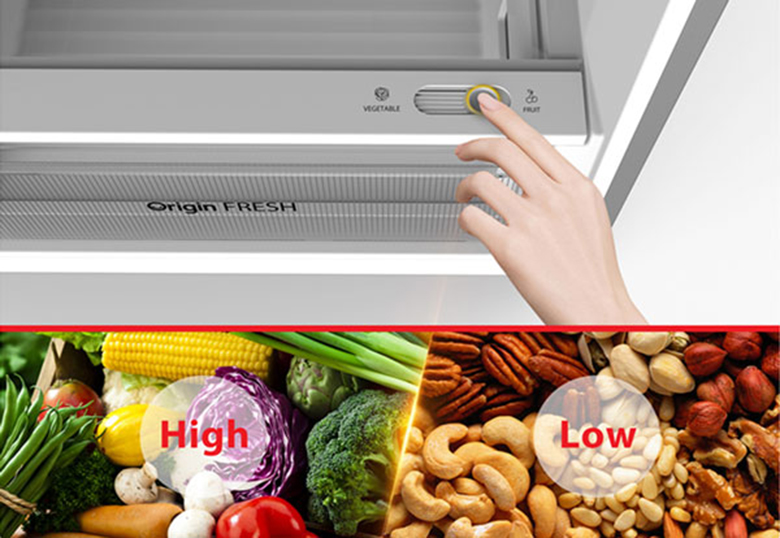 Tủ lạnh Toshiba Inverter 338 lít RT440WE-PMV(06)-MG