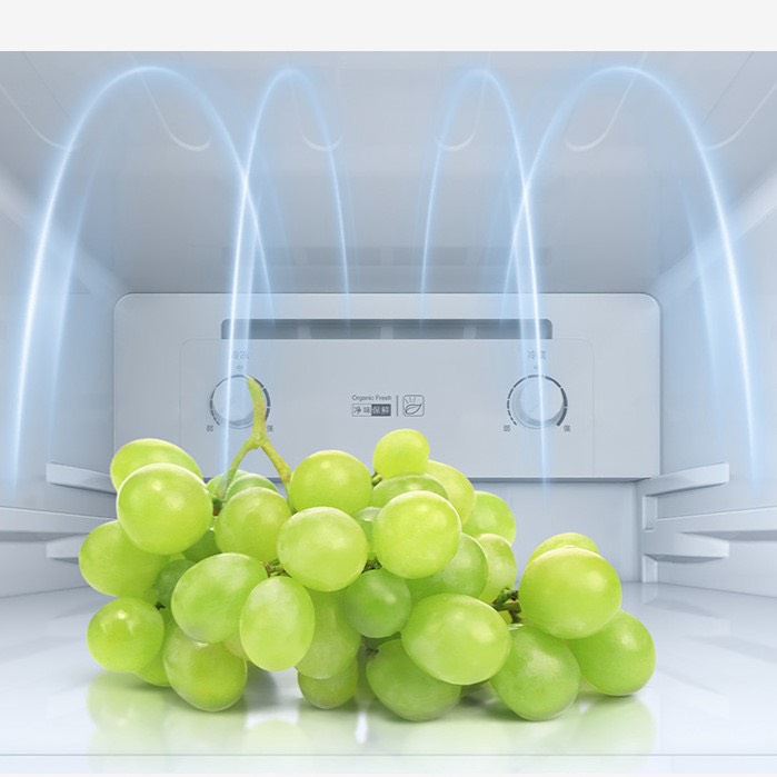 Tủ lạnh Xiaomi Mijia 2 cánh 186 lít BCD-186WMD