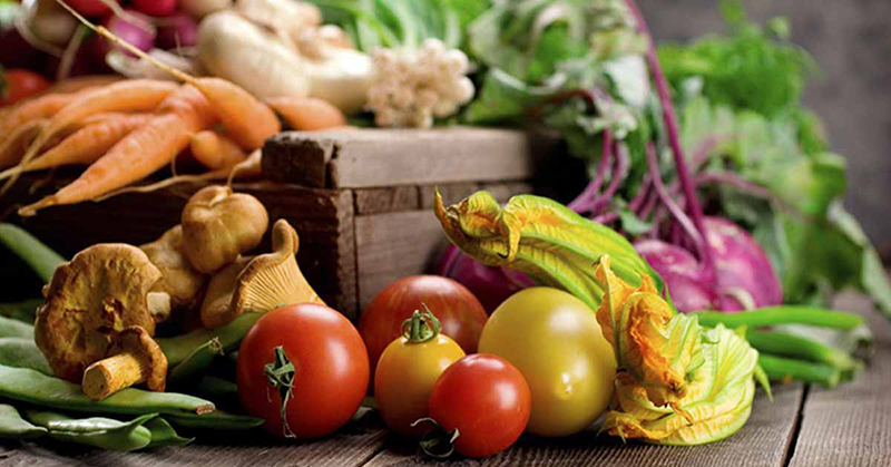 Tủ mát Alaska 730 lít SL-8C