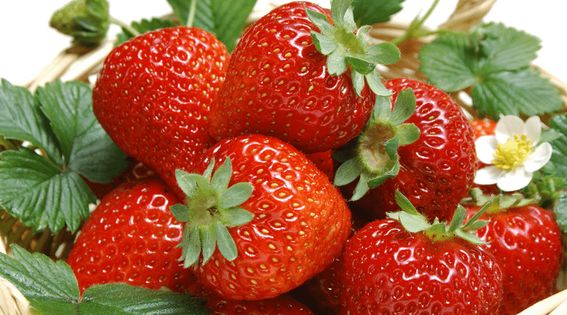 Tủ mát đứng Alaska 250 lít LC-333H