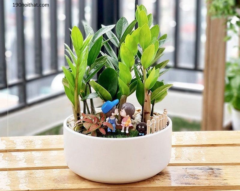 tieu-canh-ban-lam-viec