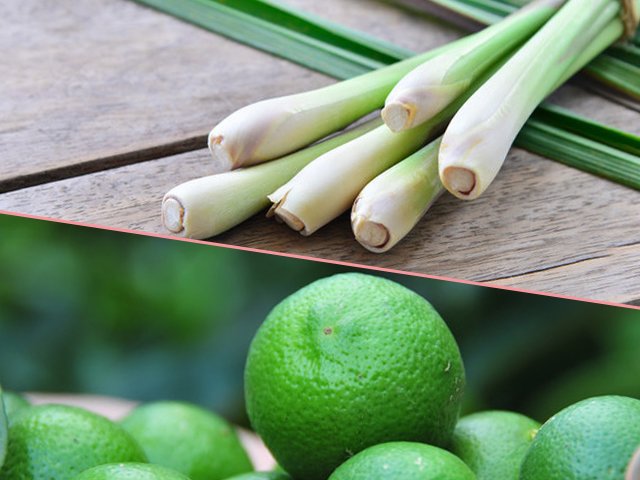 Cách khử mùi nhựa cho máy ép trái cây mới mua cực hiệu quả