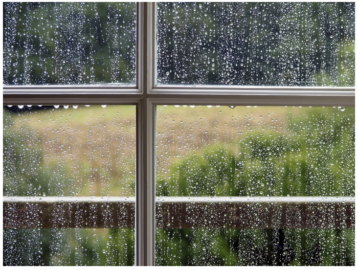 Những thiết bị điện nên có trong gia đình vào mùa mưa ẩm