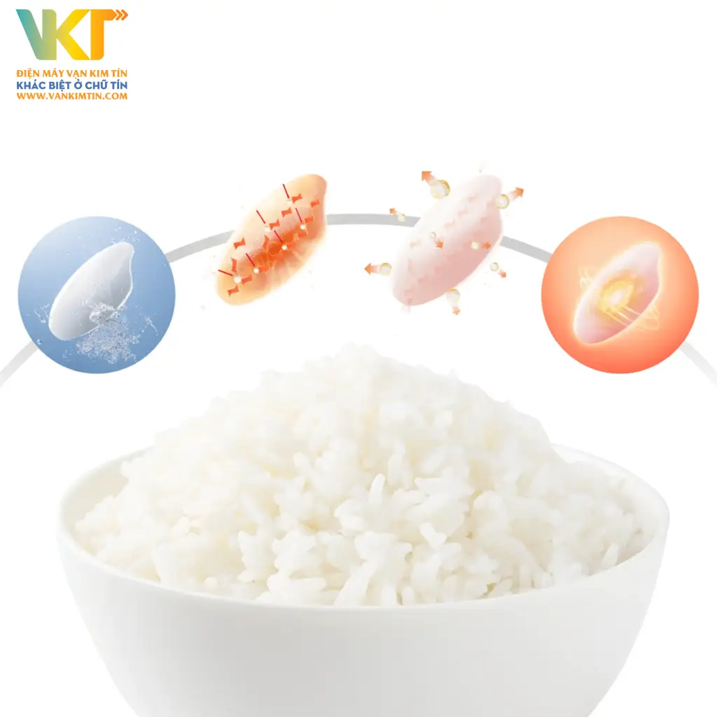 Nồi cơm điện tử Toshiba RC-18DR5UVN(W) - Công nghệ Enzyme Umami giữ trọn vị ngọt tự nhiên của gạo