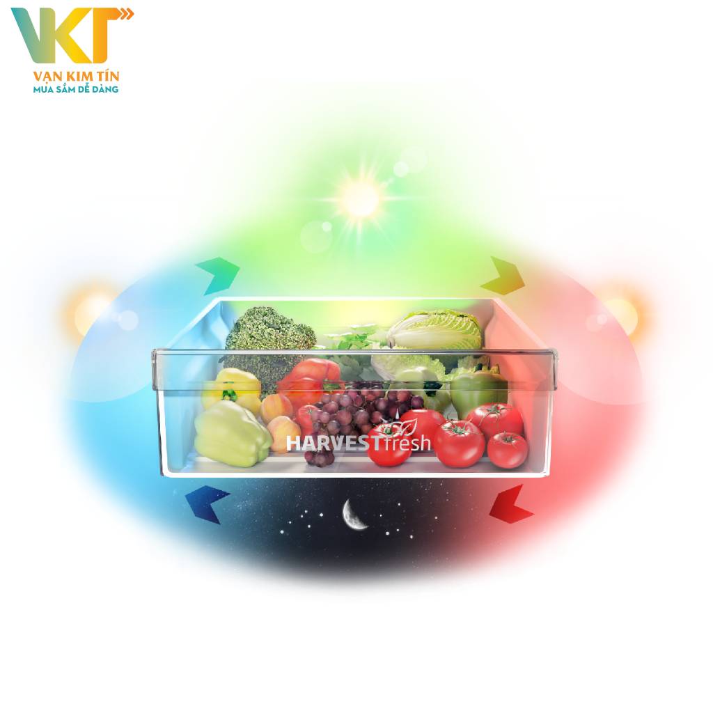 Tủ lạnh Beko Inverter 340 lít RDNT371I50VK - Công nghệ ánh sáng 3 màu HarvestFresh
