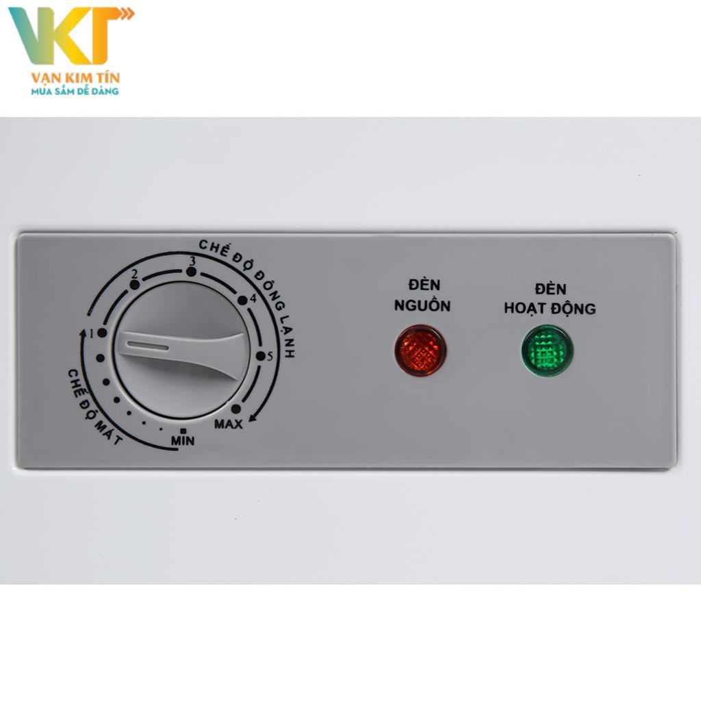 Tủ đông Sanaky VH-1599HY 100 lít