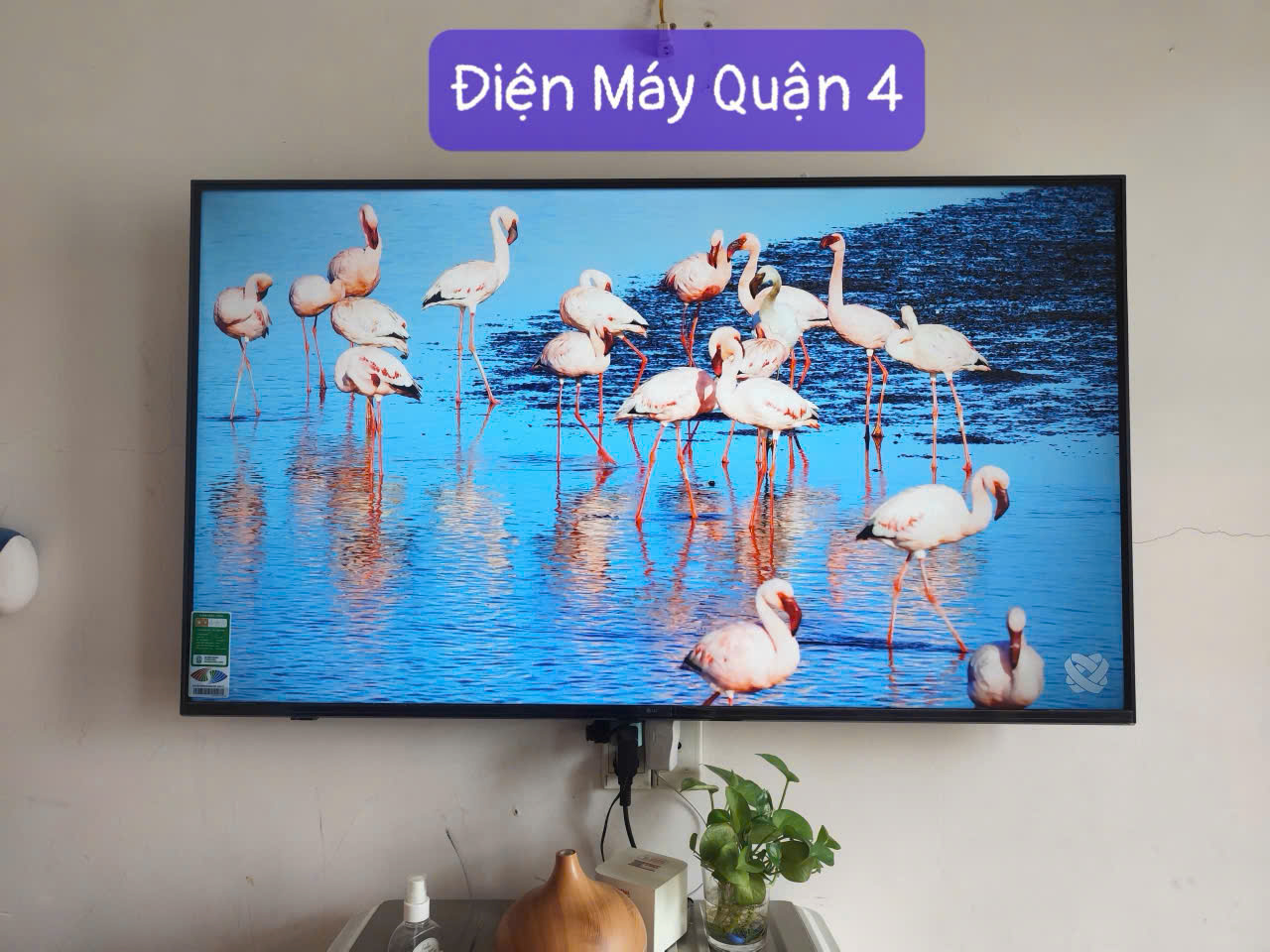 Nhật ký giao hàng hỏa tốc