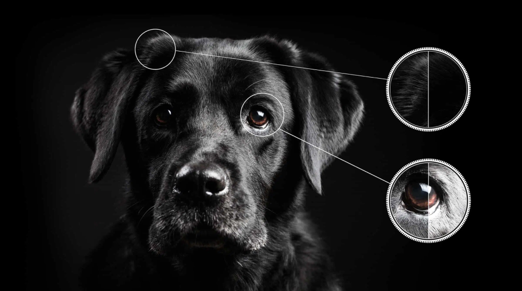 Google TV QD-Mini LED TCL 4K 65 inch 65C755 Ai-Contrast