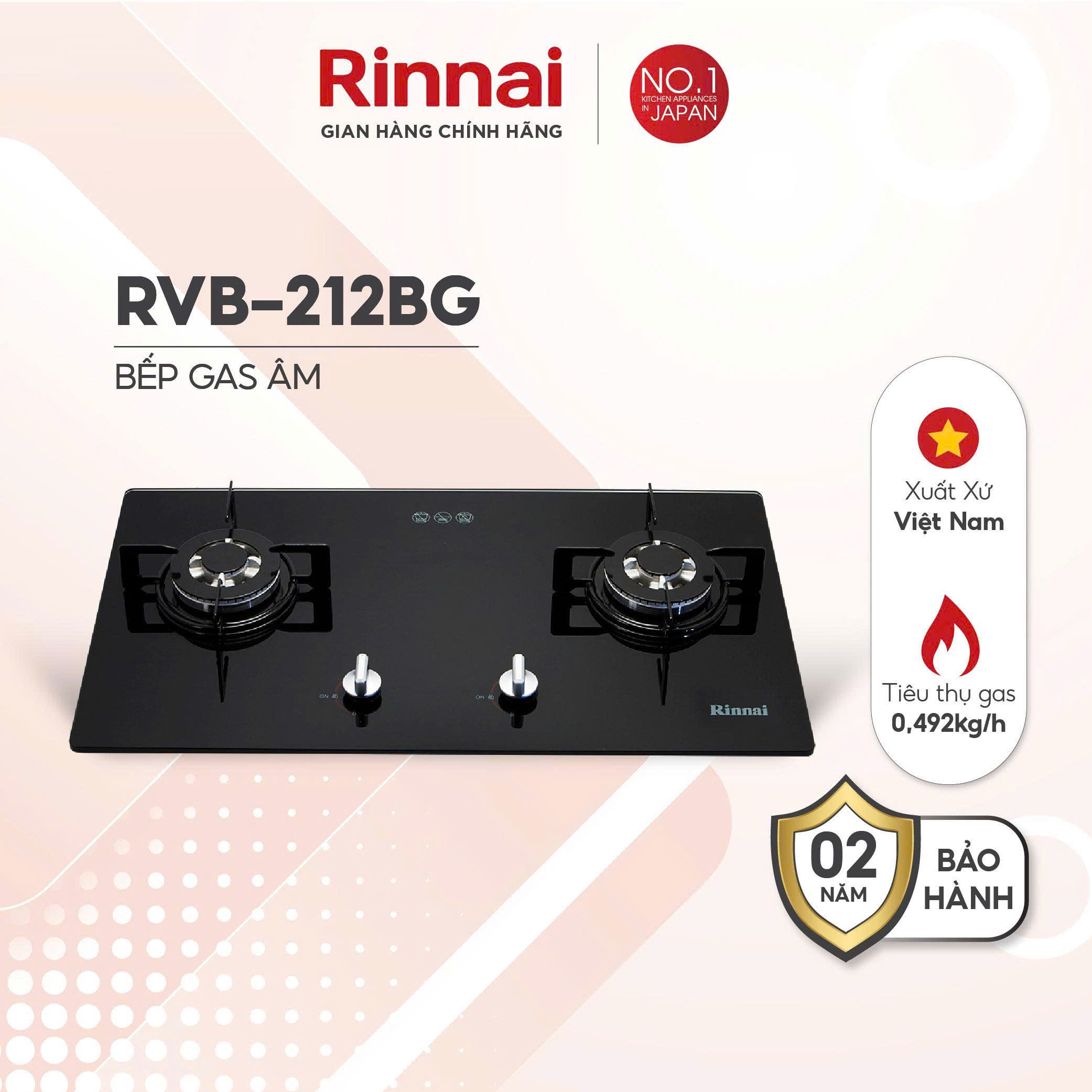 Bếp gas âm Rinnai RVB-212BG