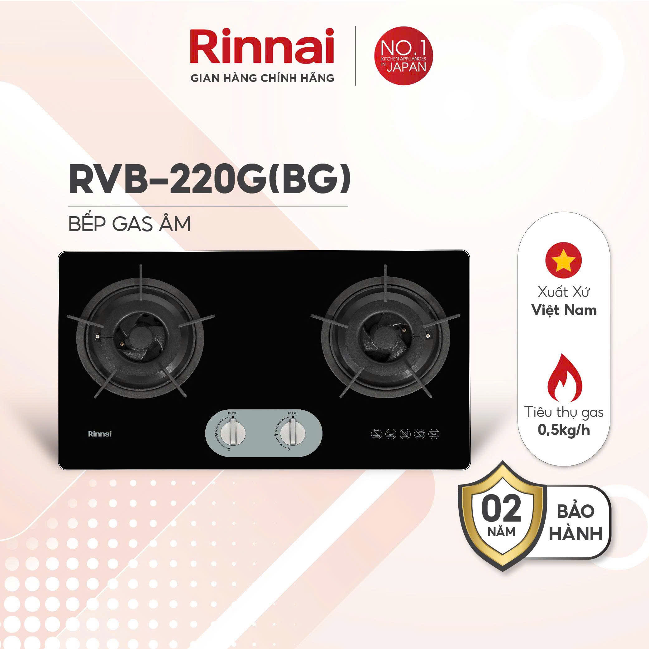 Bếp gas âm Rinnai RVB-220G(BG)