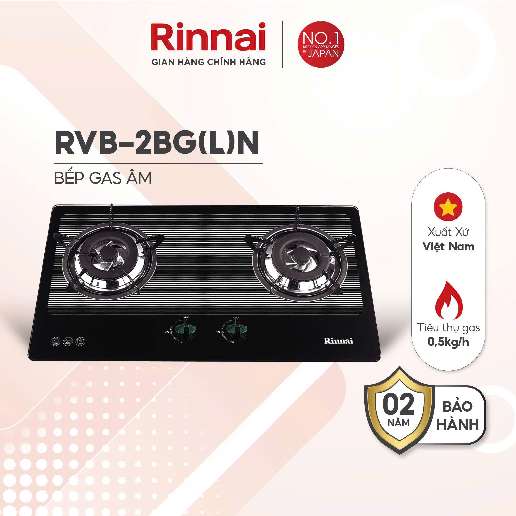 Bếp gas âm Rinnai RVB-2BG(L)N