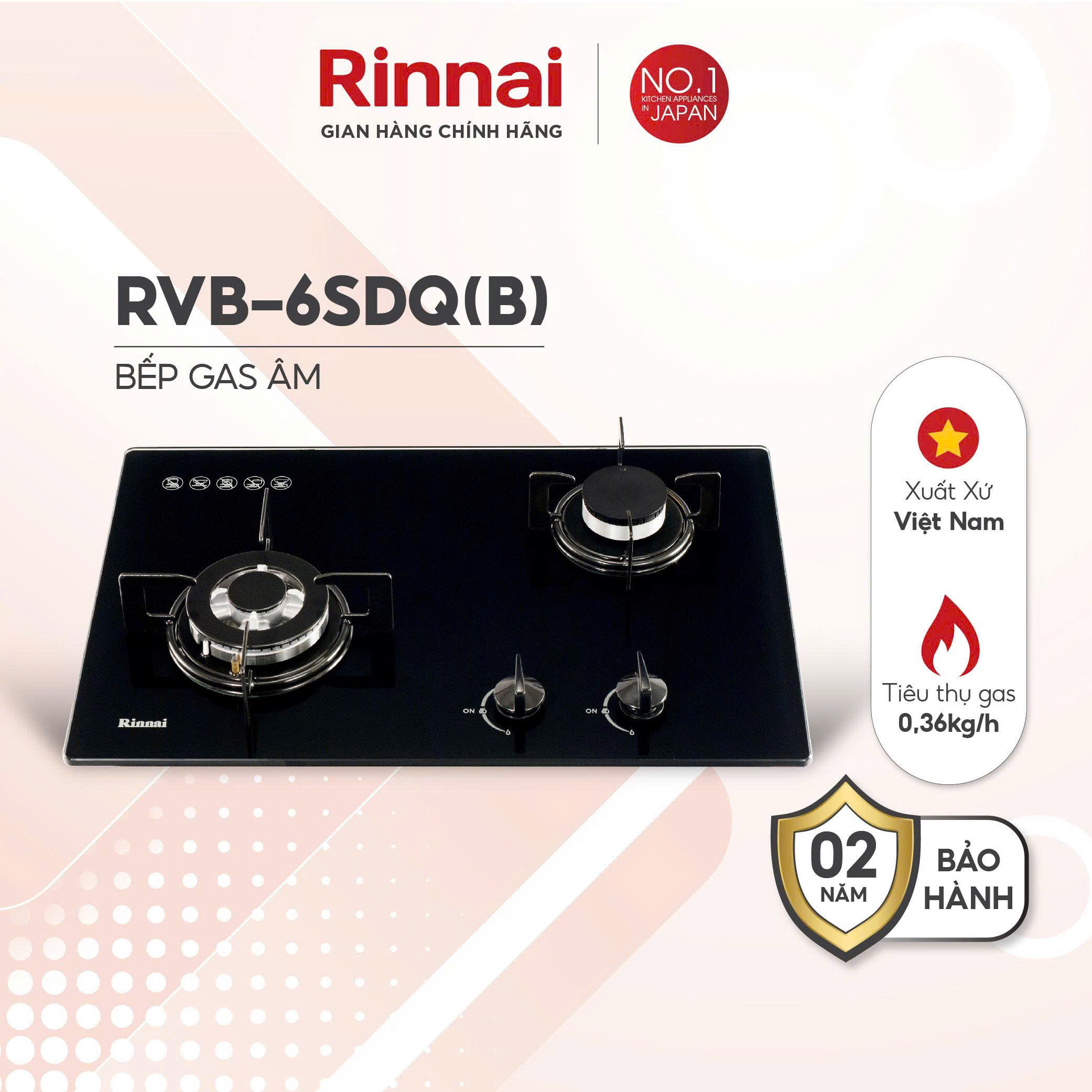Bếp gas âm Rinnai RVB-6SDQ(B)