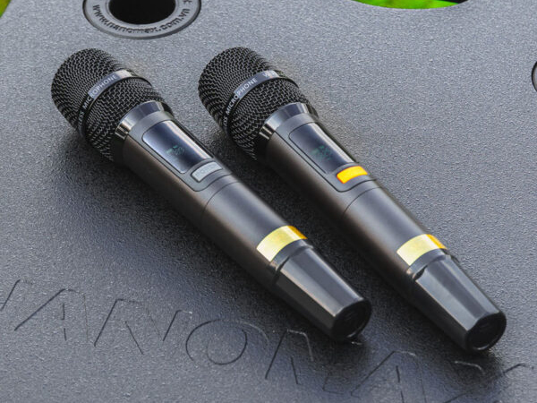 Loa kéo Karaoke Bluetooth Nanomax SK-15Q6