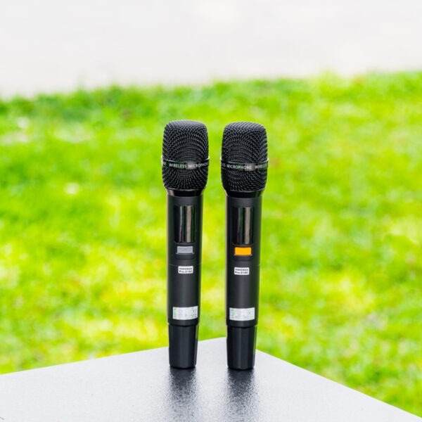 Loa Kéo Bình & Điện Nanomax Pro-218C Bass Đôi 50cm 3000w