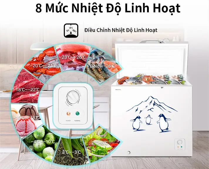 Tủ đông Hisense 202 lít FC260D4EWC1