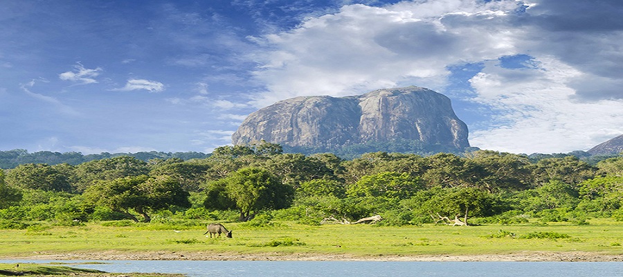 Khu bảo tồn rừng Sinharaja