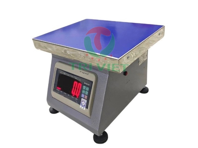 Cân điện tử dạng ghế được sử dụng phổ biến