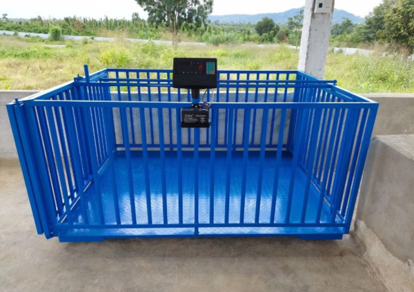 Cân điện tử động vật