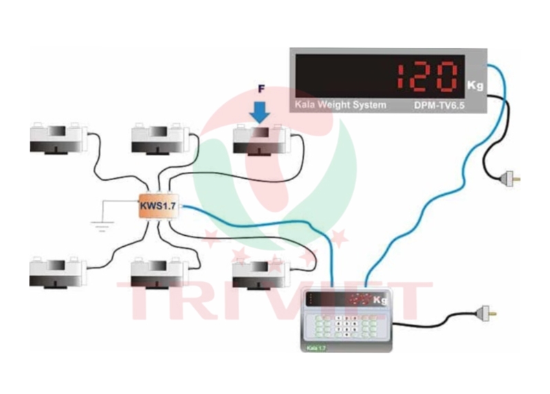 Loadcell số được sử dụng nhiều trong các hệ thống cân điện tử