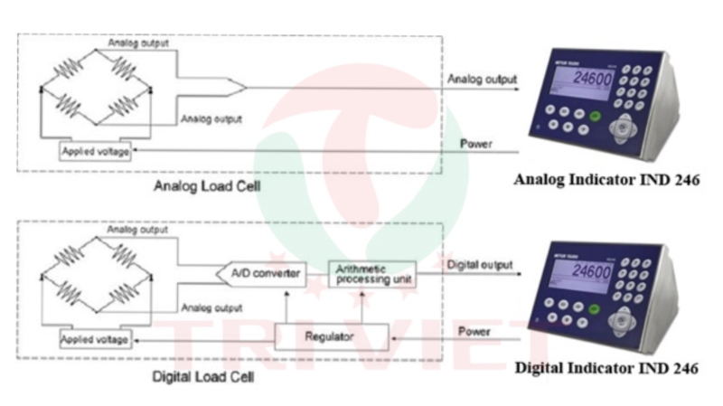 Mô hình của loadcell digital và loadcell analog