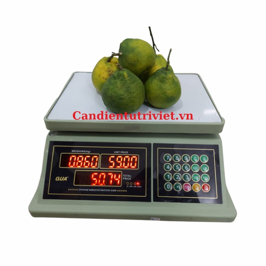 Hiệu chuẩn cân điện tử với C N ĐIỆN TỬ TRÍ VIỆT