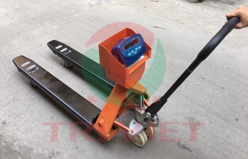Cân Pallet được khá nhiều doanh nghiệp lựa chọn
