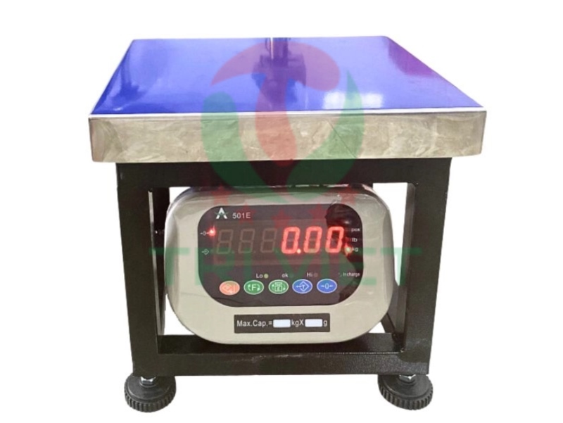 Cân ghế ngồi điện tử 200kg TV200G-501E được thiết kế sang trọng