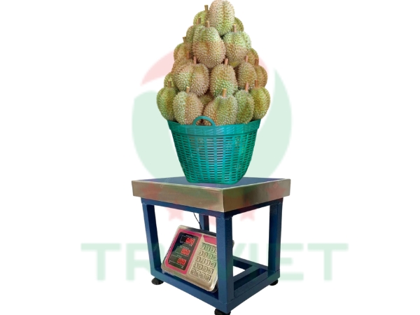 Cân điện tử cân sầu riêng