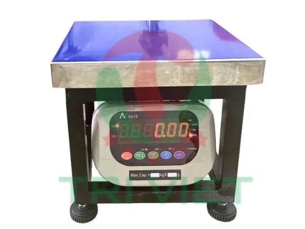 Cân ghế ngồi điện tử 200kg TV200G-501E