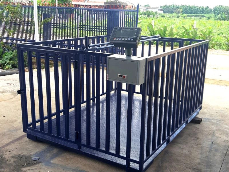 Cân heo điện tử GW 2 tấn 1.5x2m có khung và sàn tháo lắp dễ dàng