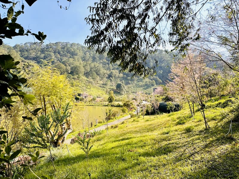 Không gian nghỉ dưỡng an yên giữa thiên nhiên