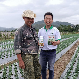 Chú Toàn - Chí Linh, Hải Dương