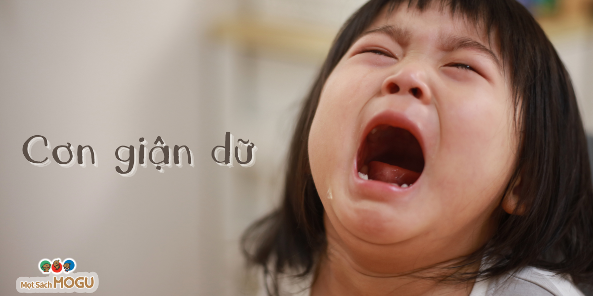 Khủng hoảng 2 tuổi: Trẻ khủng hoảng cảm xúc